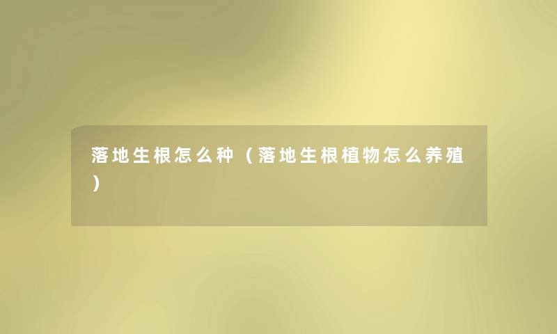 落地生根怎么种(落地生根植物怎么养殖) 落地生根怎么种(落地生根植物怎么养殖)
