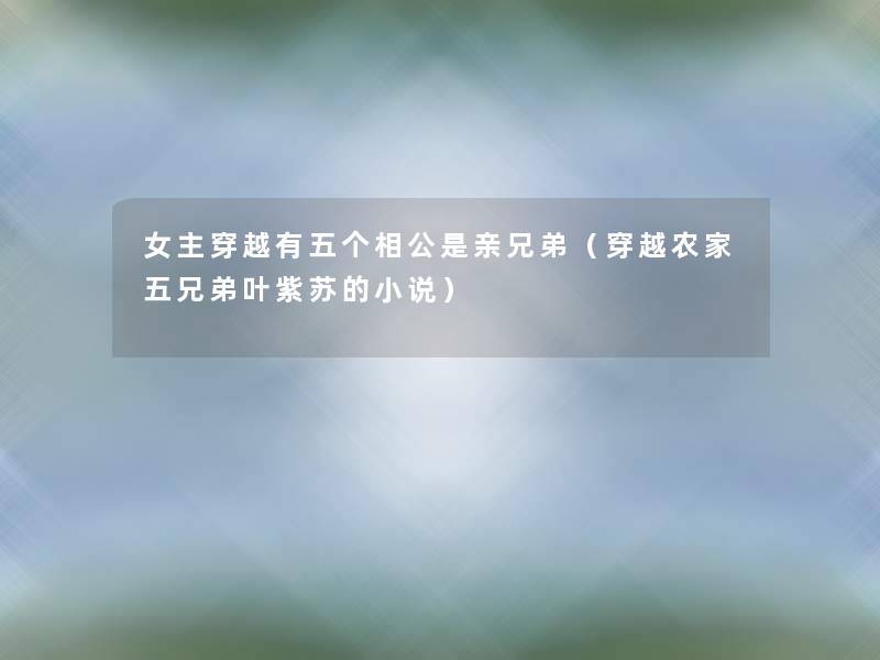 女主穿越有五个相公是亲兄弟(穿越农家五兄弟叶紫苏的小说) 女主穿越有五个相公是亲兄弟(穿越农家五兄弟叶紫苏的小说)