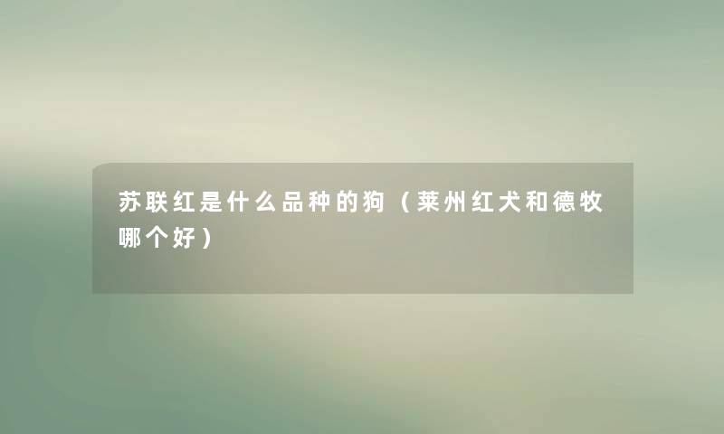 苏联红是什么品种的狗(莱州红犬和德牧哪个好) 苏联红是什么品种的狗(莱州红犬和德牧哪个好)