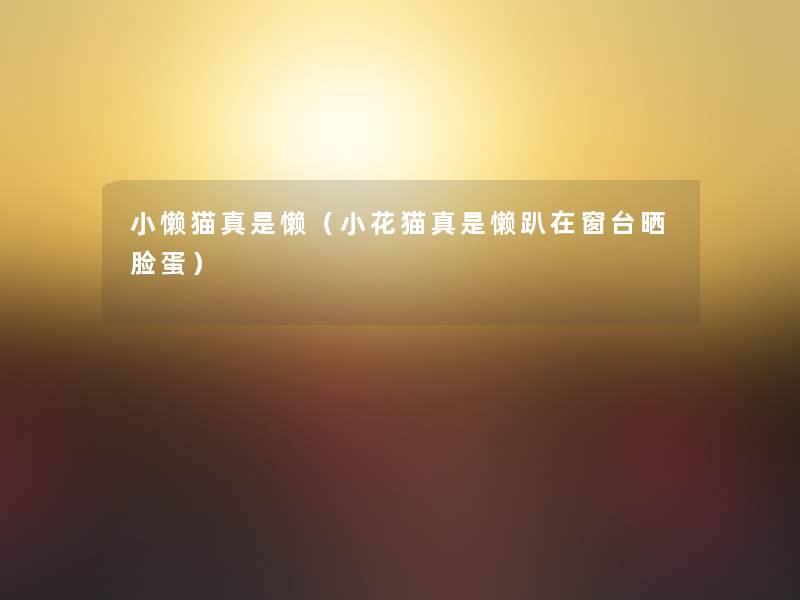 小懒猫真是懒(小花猫真是懒趴在窗台晒脸蛋) 小懒猫真是懒(小花猫真是懒趴在窗台晒脸蛋)