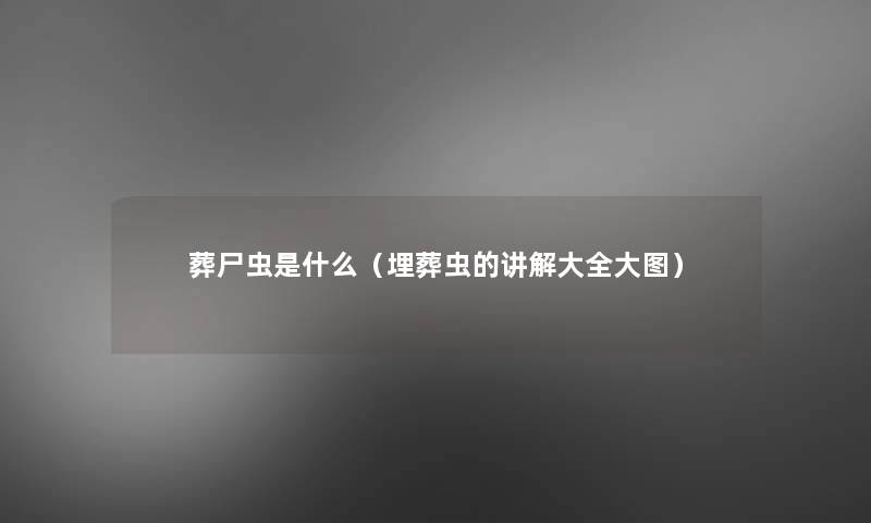 葬尸虫是什么(埋葬虫的讲解大全大图) 葬尸虫是什么(埋葬虫的讲解大全大图)
