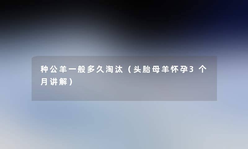 种公羊一般多久淘汰(头胎母羊怀孕3个月讲解) 种公羊一般多久淘汰(头胎母羊怀孕3个月讲解)