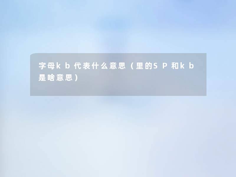 字母kb代表什么意思(里的SP和kb是啥意思) 字母kb代表什么意思(里的SP和kb是啥意思)