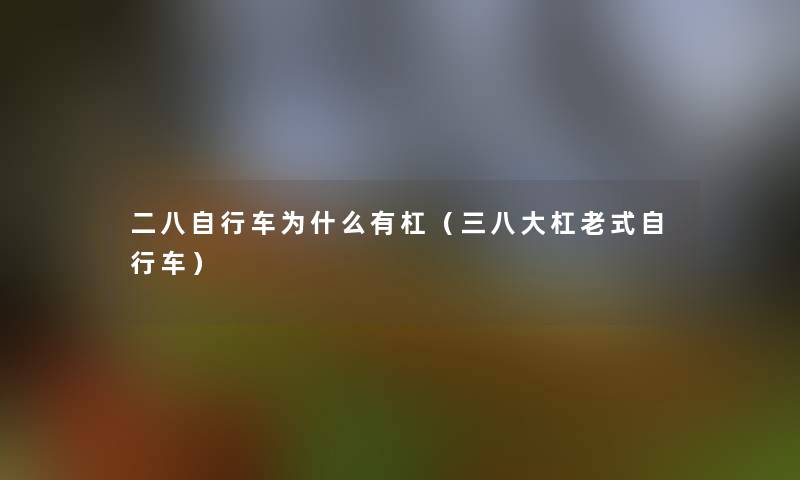 二八自行车为什么有杠(三八大杠老式自行车) 二八自行车为什么有杠(三八大杠老式自行车)