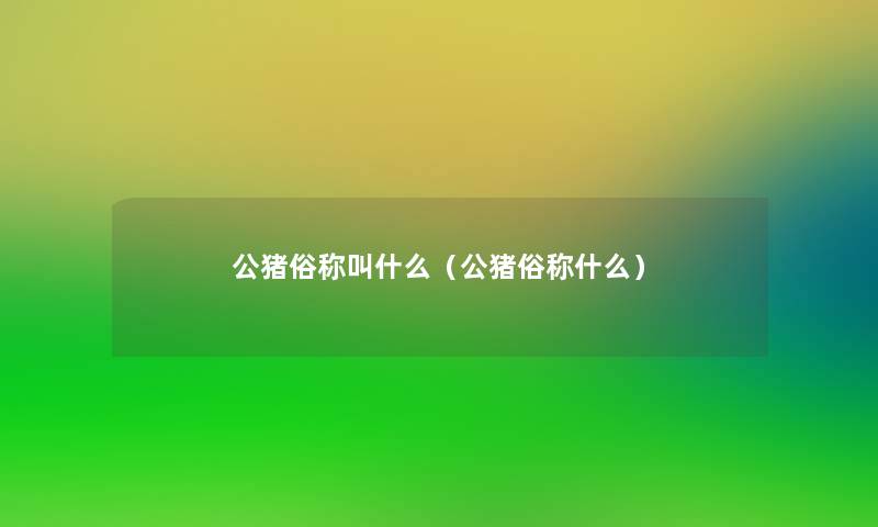 公猪俗称叫什么(公猪俗称什么) 公猪俗称叫什么(公猪俗称什么)