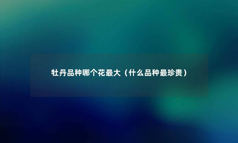 牡丹品种哪个花大(什么品种珍贵) 牡丹品种哪个花大(什么品种珍贵)