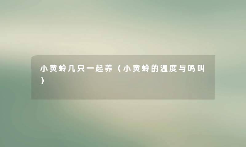 小黄蛉几只一起养（小黄蛉的温度与鸣叫）