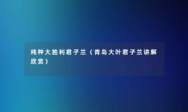 纯种大胜利君子兰(青岛大叶君子兰讲解欣赏) 纯种大胜利君子兰(青岛大叶君子兰讲解欣赏)