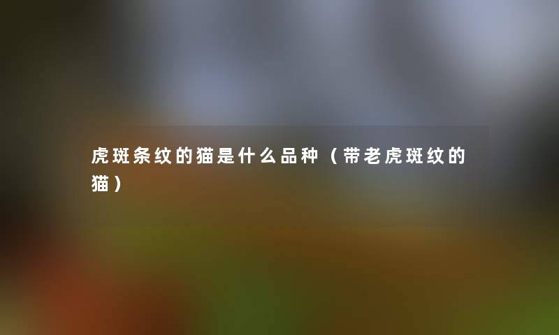 虎斑条纹的猫是什么品种(带老虎斑纹的猫) 虎斑条纹的猫是什么品种(带老虎斑纹的猫)
