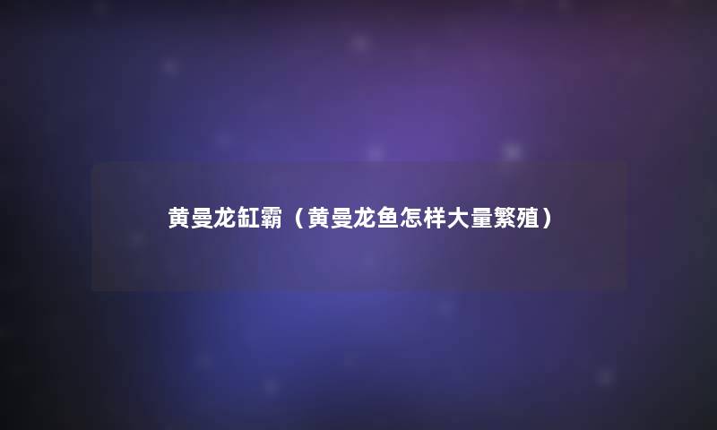 黄曼龙缸霸(黄曼龙鱼怎样大量繁殖) 黄曼龙缸霸(黄曼龙鱼怎样大量繁殖)