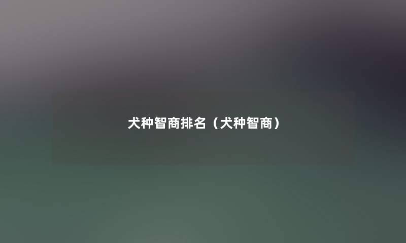 犬种智商推荐(犬种智商) 犬种智商推荐(犬种智商)