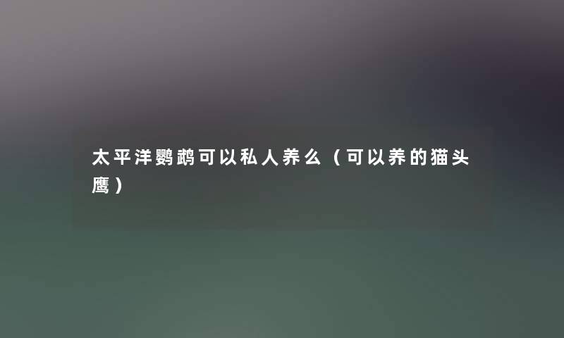 太平洋鹦鹉可以私人养么(可以养的猫头鹰) 太平洋鹦鹉可以私人养么(可以养的猫头鹰)
