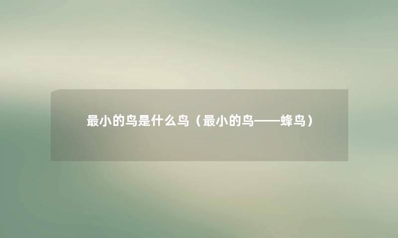 小的鸟是什么鸟(小的鸟――蜂鸟) 小的鸟是什么鸟(小的鸟――蜂鸟)