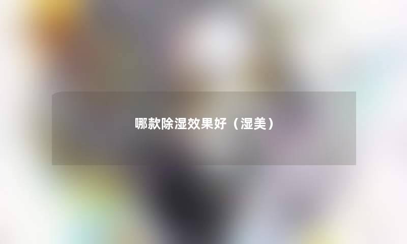 哪款除湿效果好(湿美) 哪款除湿效果好(湿美)