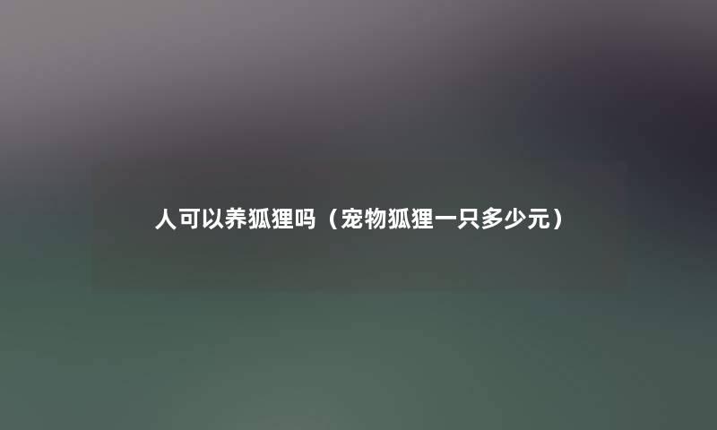 人可以养狐狸吗(宠物狐狸一只多少元) 人可以养狐狸吗(宠物狐狸一只多少元)