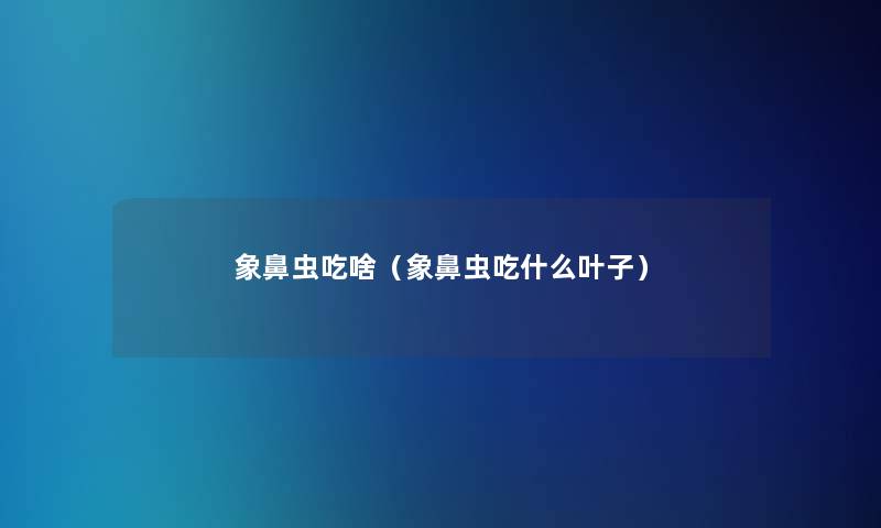 象鼻虫吃啥(象鼻虫吃什么叶子) 象鼻虫吃啥(象鼻虫吃什么叶子)