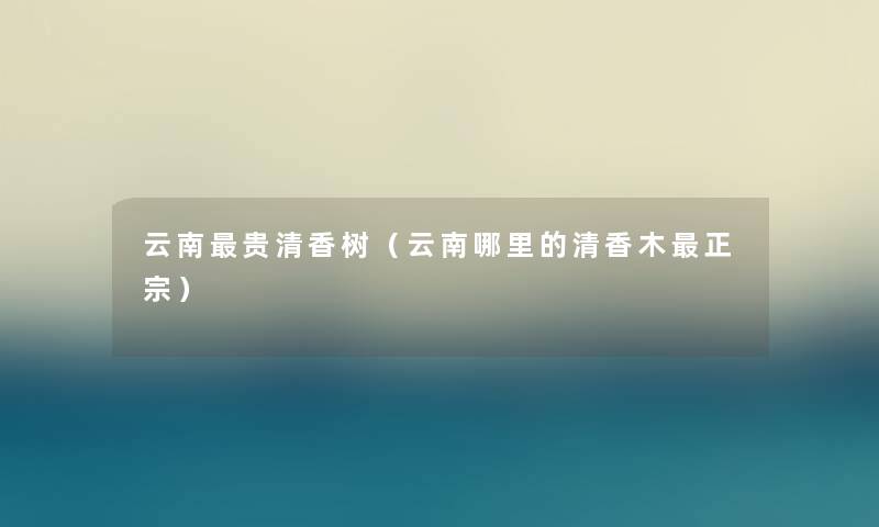云南贵清香树(云南哪里的清香木正宗) 云南贵清香树(云南哪里的清香木正宗)