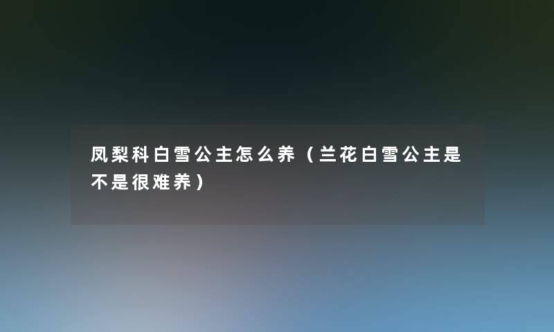 凤梨科白雪公主怎么养(兰花白雪公主是不是很难养) 凤梨科白雪公主怎么养(兰花白雪公主是不是很难养)