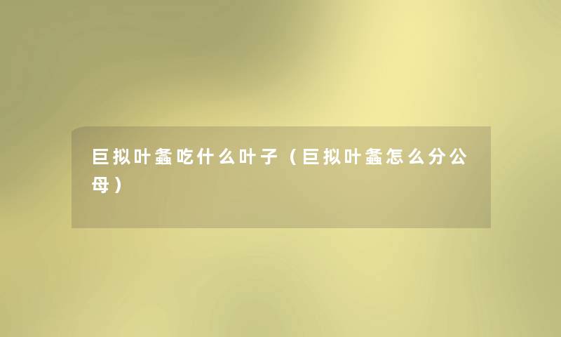巨拟叶螽吃什么叶子(巨拟叶螽怎么分公母) 巨拟叶螽吃什么叶子(巨拟叶螽怎么分公母)