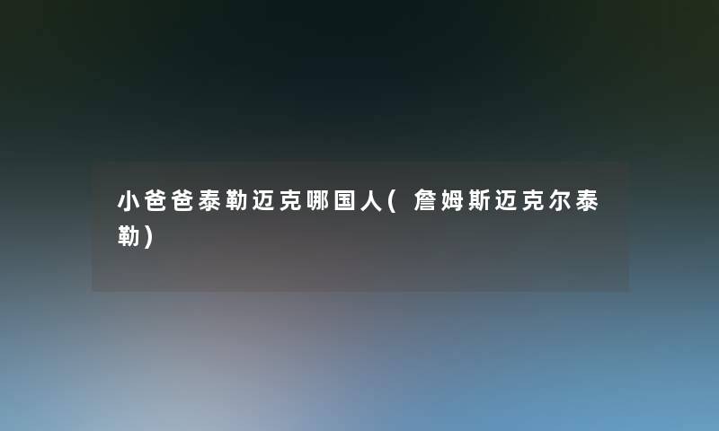 小爸爸泰勒迈克哪国人(詹姆斯迈克尔泰勒) 小爸爸泰勒迈克哪国人(詹姆斯迈克尔泰勒)