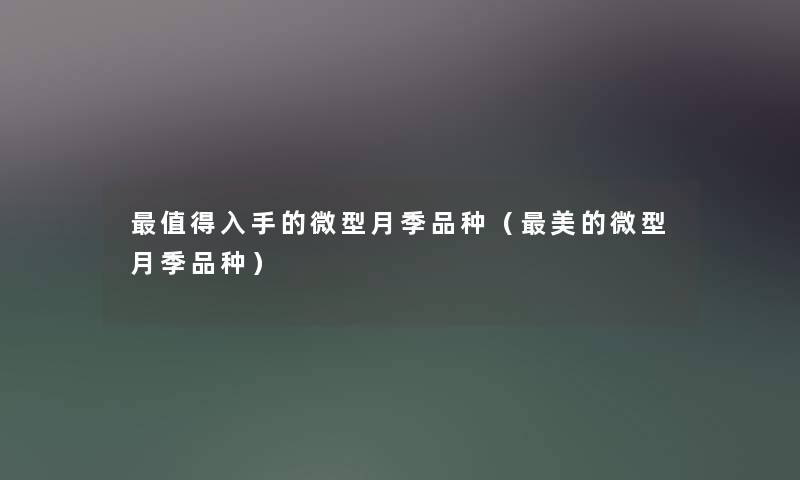 入手的微型月季品种(美的微型月季品种) 入手的微型月季品种(美的微型月季品种)