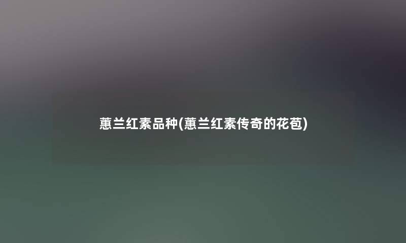 蕙兰红素品种(蕙兰红素传奇的花苞)