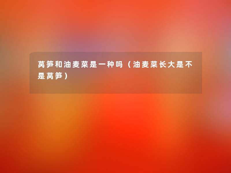 莴笋和油麦菜是一种吗(油麦菜长大是不是莴笋) 莴笋和油麦菜是一种吗(油麦菜长大是不是莴笋)